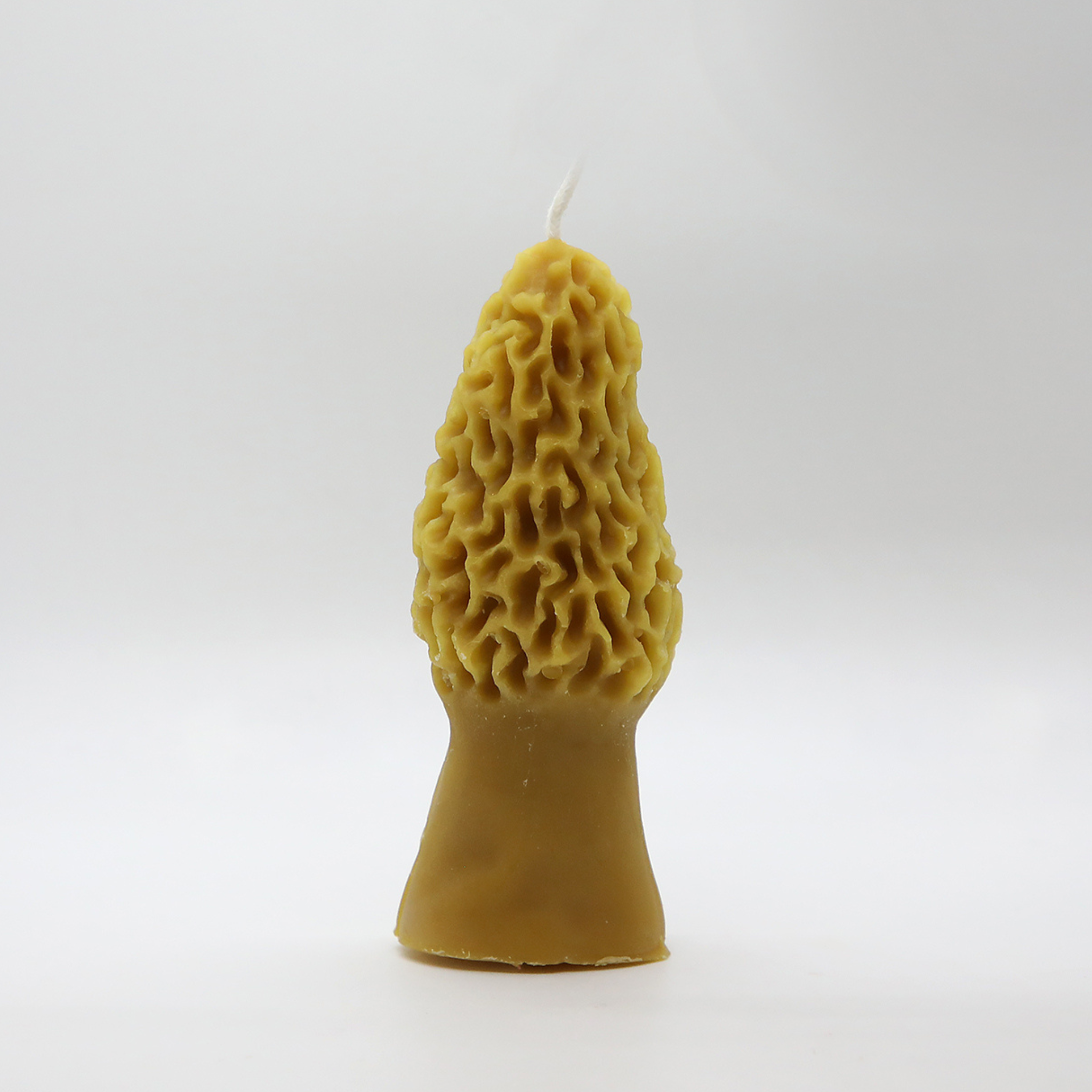 Morel Mushroom Beeswax Candle